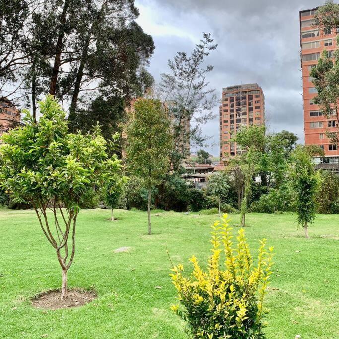 Апартаменты Urban Andes Retreat Куэнка Экстерьер фото